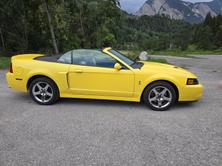 FORD Cobra SVT Terminator 400 PS Compressor, Essence, Occasion / Utilisé, Manuelle - 4