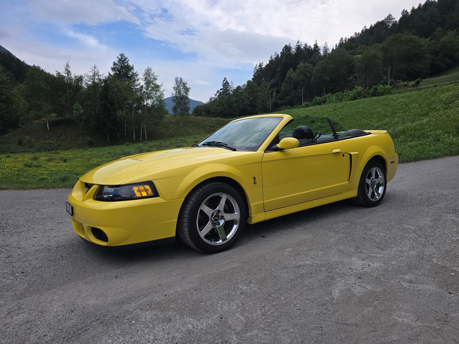 FORD Cobra SVT Terminator 400 PS Compressor, Essence, Occasion / Utilisé, Manuelle - 2