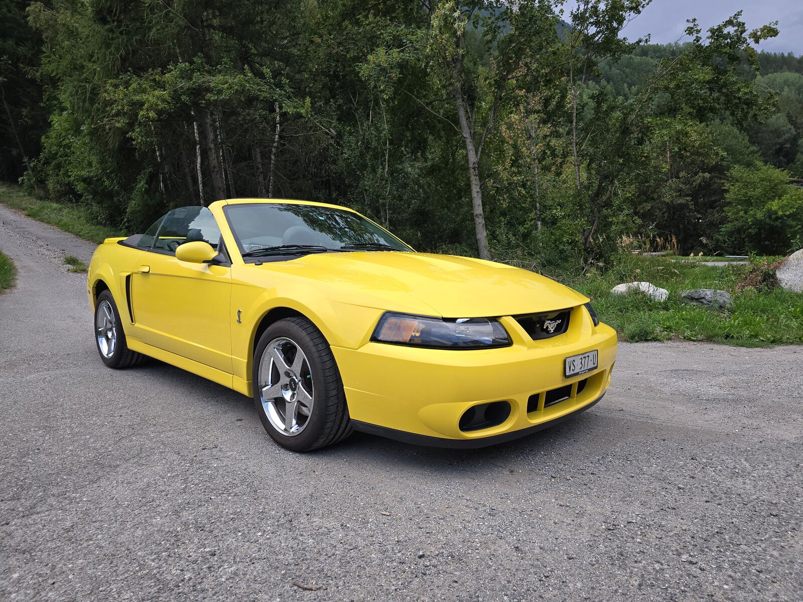 FORD Cobra SVT Terminator 400 PS Compressor, Essence, Occasion / Utilisé, Manuelle - 3