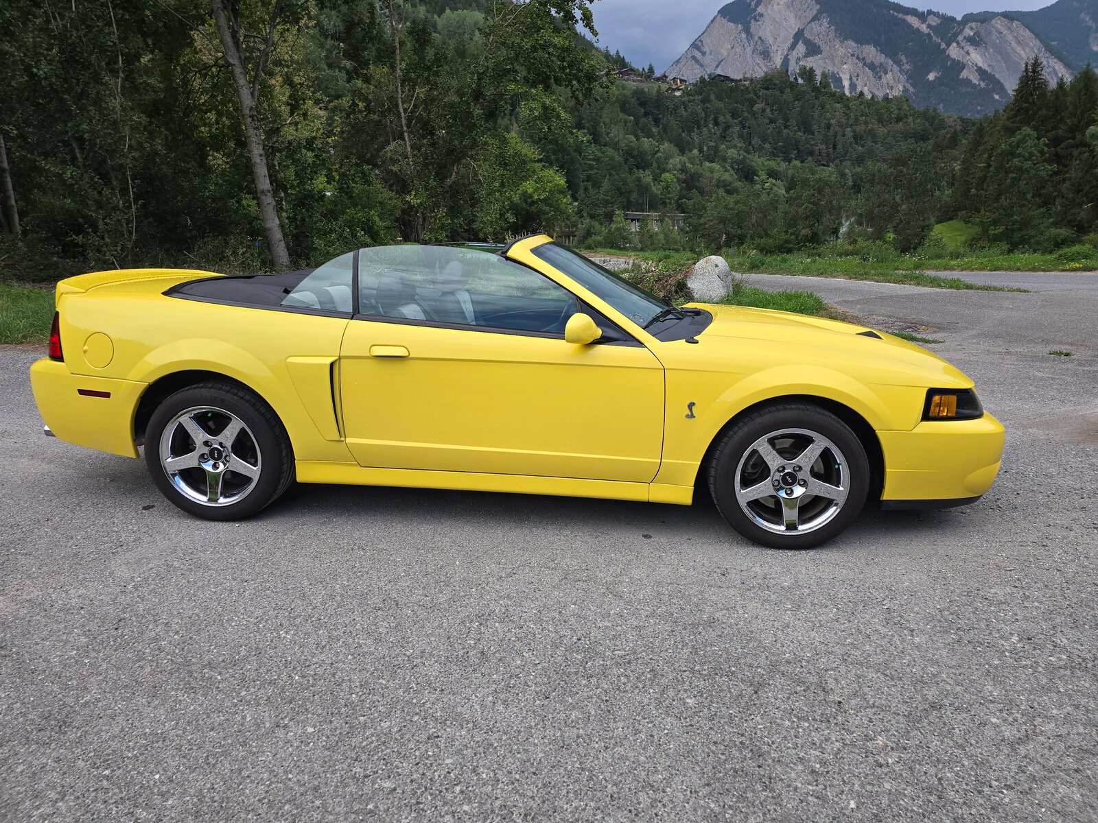 FORD Cobra SVT Terminator 400 PS Compressor, Essence, Occasion / Utilisé, Manuelle - 4