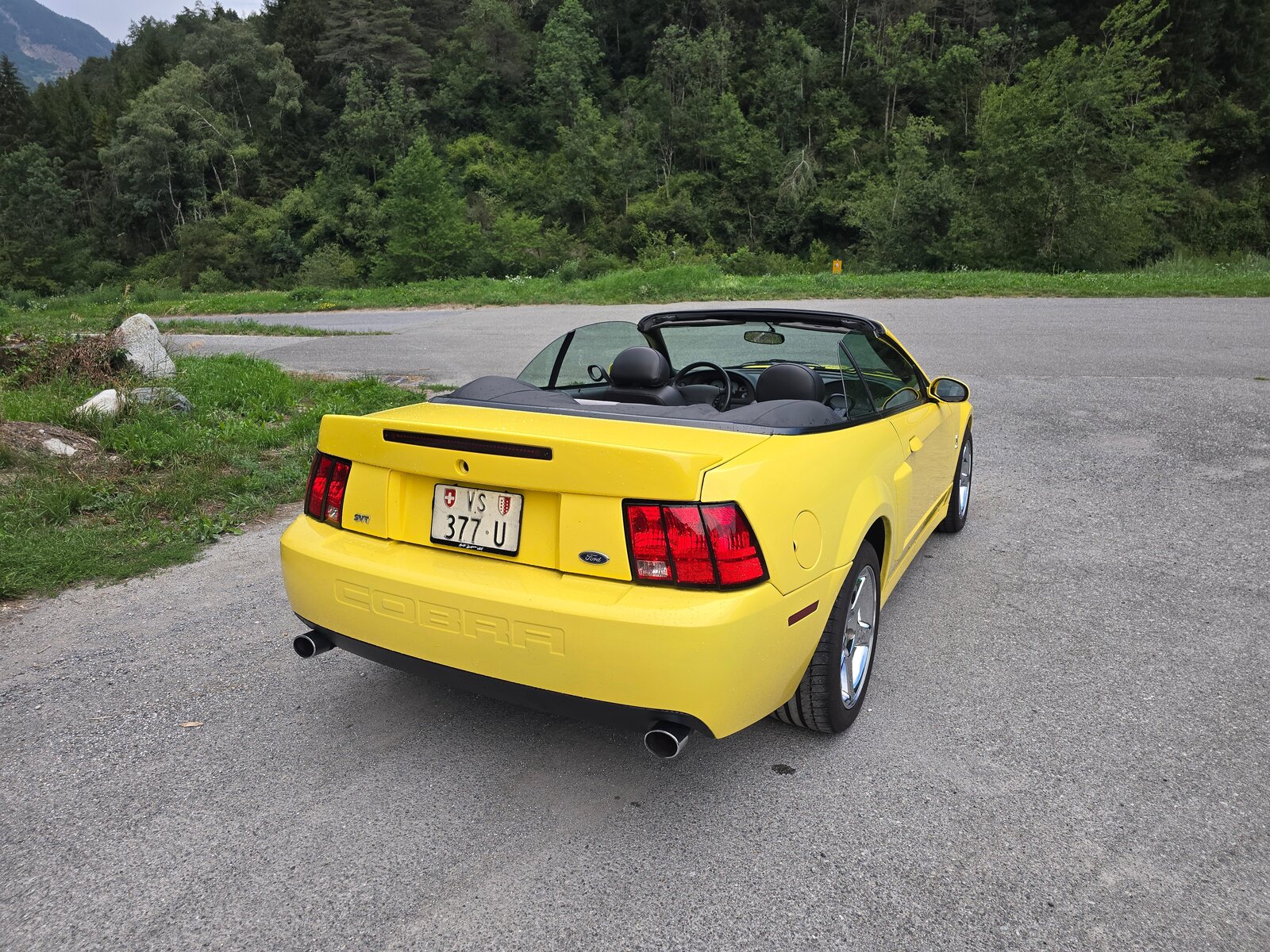 FORD Cobra SVT Terminator 400 PS Compressor, Essence, Occasion / Utilisé, Manuelle - 5