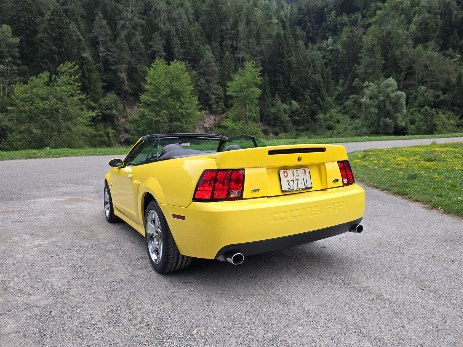 FORD Cobra SVT Terminator 400 PS Compressor, Essence, Occasion / Utilisé, Manuelle - 7
