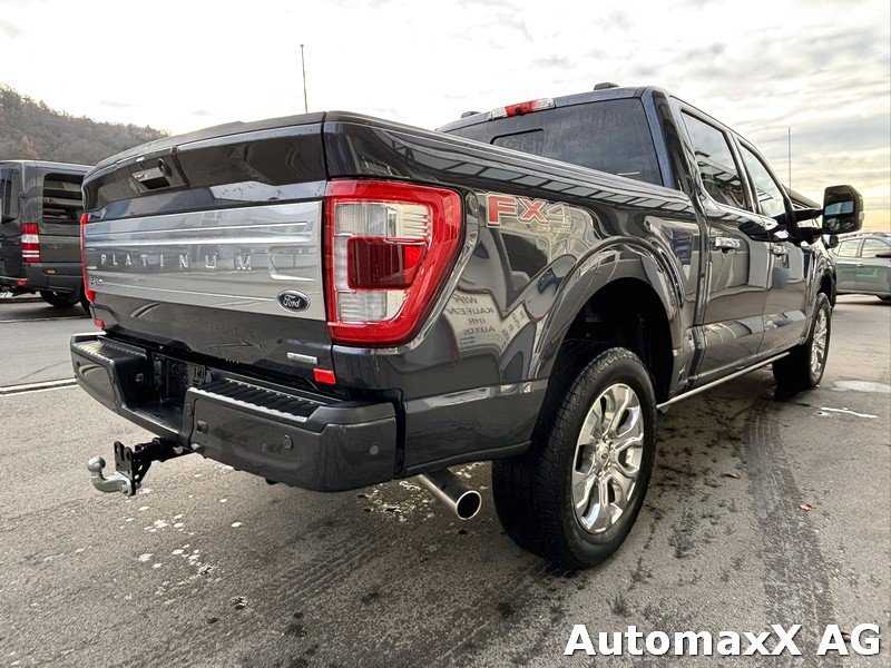 FORD F-Pickup F150 Lobo Platinum Dkab, Benzin, Neuwagen, Automatik - 6