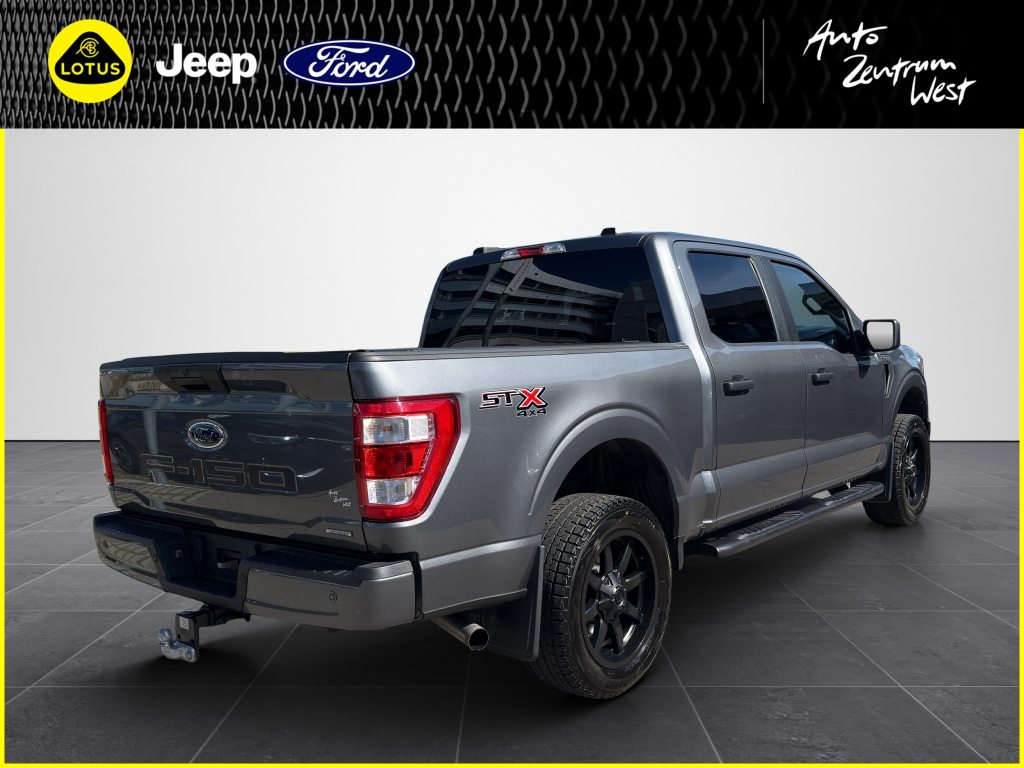 FORD F150 STX-Edition 4x4, Benzina, Occasioni / Usate, Automatico - 5