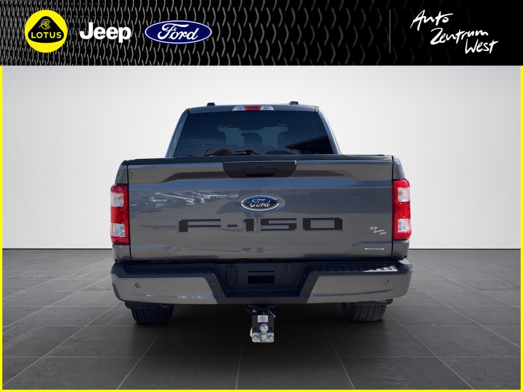 FORD F150 STX-Edition 4x4, Benzina, Occasioni / Usate, Automatico - 4