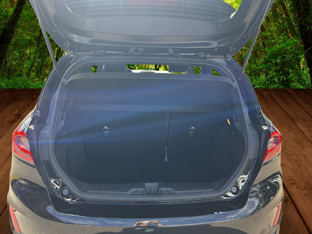 FORD Fiesta 1.0 EcoB Hybrid ST-Line X, Hybride Léger Essence/Électricité, Voiture de démonstration, Automatique - 5