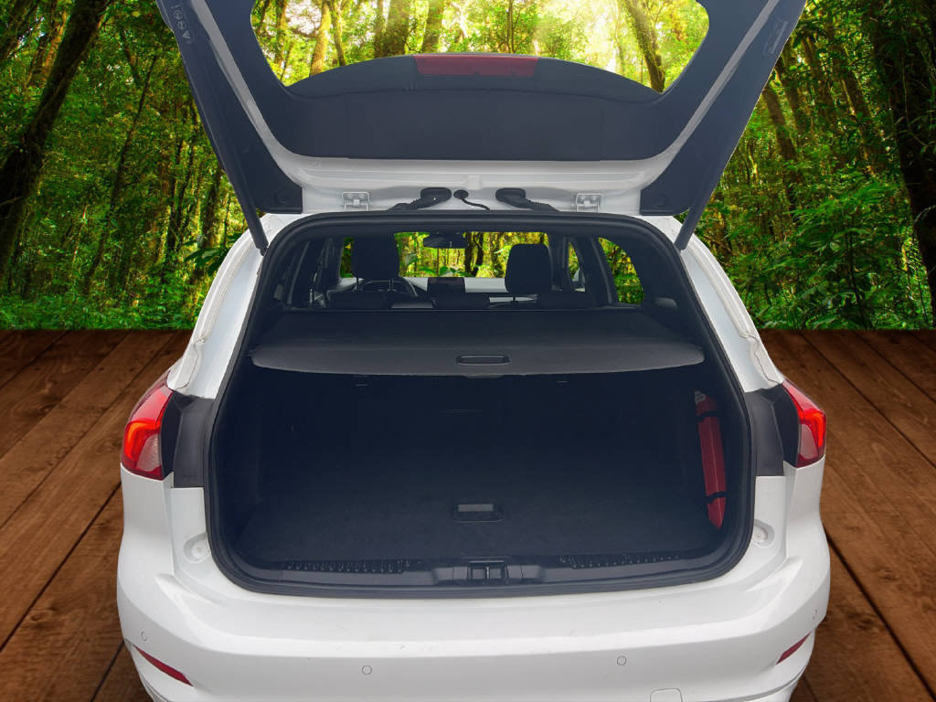 FORD Focus Station Wagon 2.0 EcoBlue 150 ST-Line, Diesel, Occasion / Utilisé, Automatique - 5