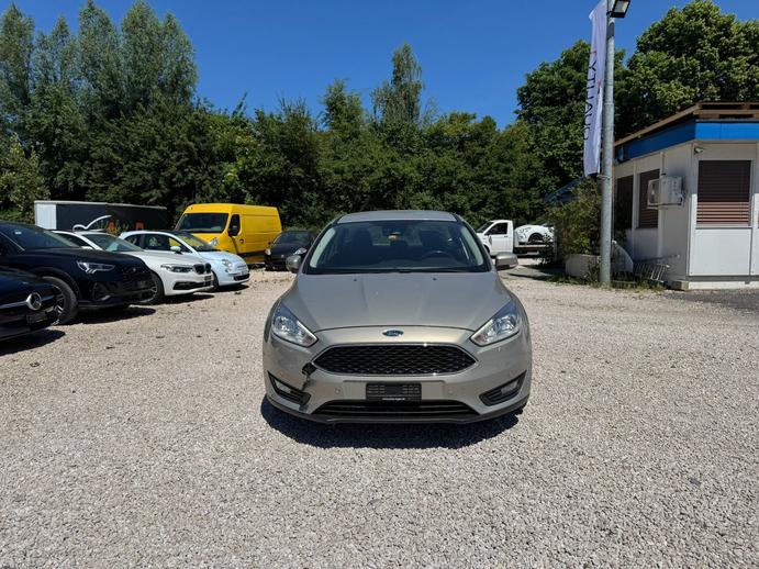 FORD Focus 1.5 TDCi Business PowerShift, Diesel, Occasion / Utilisé, Automatique