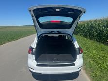 FORD Focus 1.5 TDCi Cool Connect Automatic, Diesel, Second hand / Used, Automatic - 6