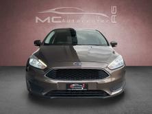 FORD Focus 1.6i VCT Trend PowerShift Limousine, Benzina, Occasioni / Usate, Manuale - 4