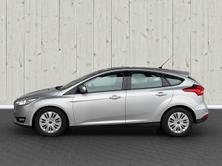 FORD Focus 1.5 TDCi Freetech PowerShift, Diesel, Occasioni / Usate, Automatico - 4