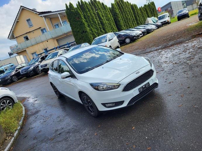 FORD Focus 1.5 SCTi Carving, Benzina, Occasioni / Usate, Manuale