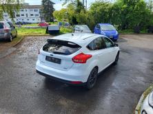 FORD Focus 1.5 SCTi Carving, Benzina, Occasioni / Usate, Manuale - 2