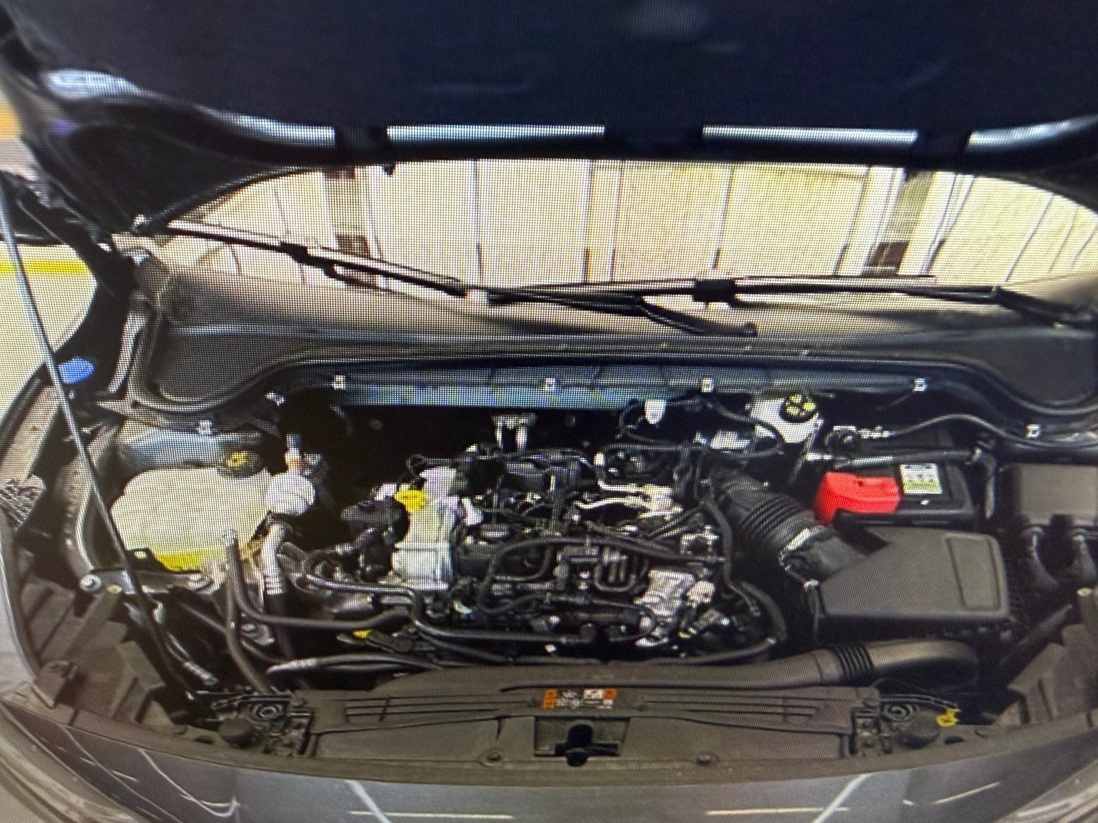 FORD Focus 1.0 MHEV ST-Line X Automat, Hybride Leggero Benzina/Elettrica, Occasioni / Usate, Automatico - 2