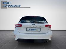FORD Focus 2.0 EcoBlue 150 Cool Connect, Diesel, Second hand / Used, Automatic - 5
