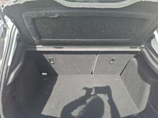 FORD Focus 1.0 SCTi Carving, Benzina, Occasioni / Usate, Manuale - 5