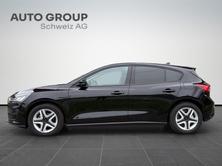 FORD Focus 1.0 MHEV Cool Connect Automatic, Hybride Leggero Benzina/Elettrica, Occasioni / Usate, Automatico - 3