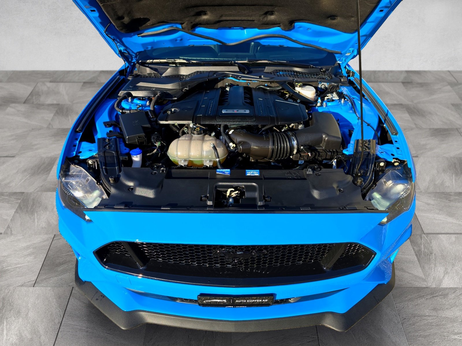 FORD 5.0 V8 GT Special Carbon Edition, Benzina, Occasioni / Usate, Automatico - 5