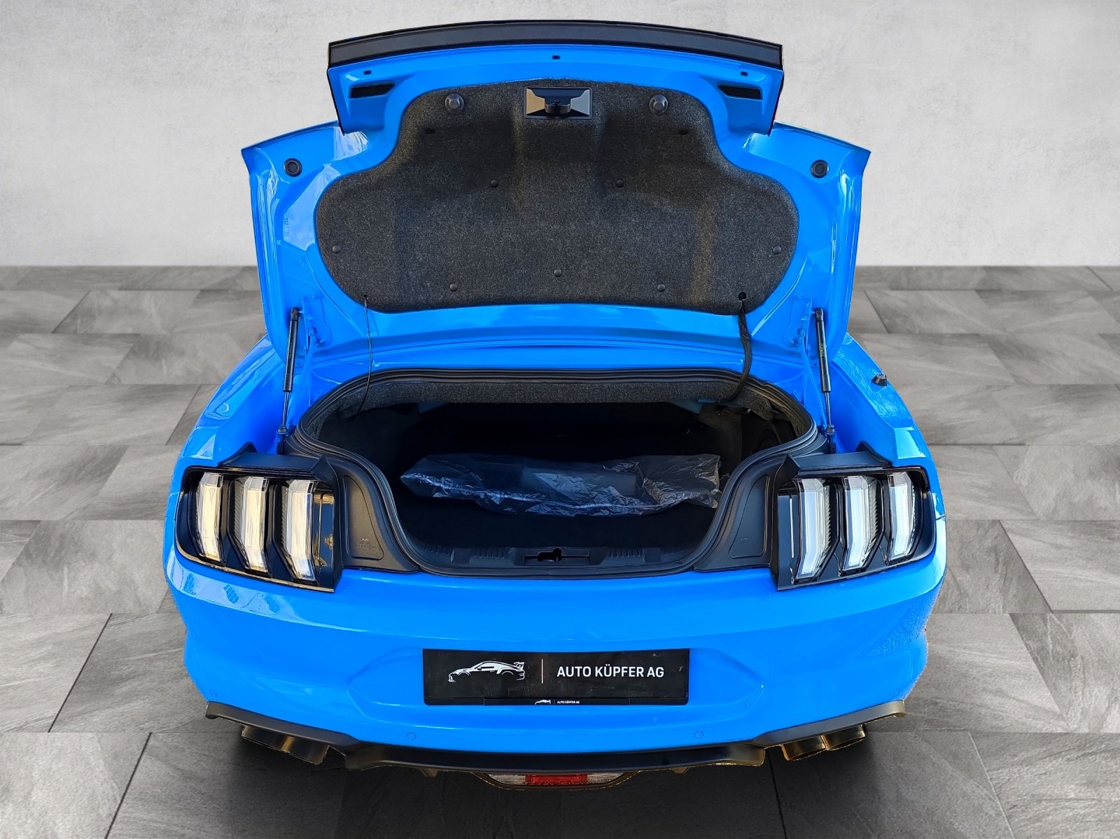 FORD 5.0 V8 GT Special Carbon Edition, Benzina, Occasioni / Usate, Automatico - 6