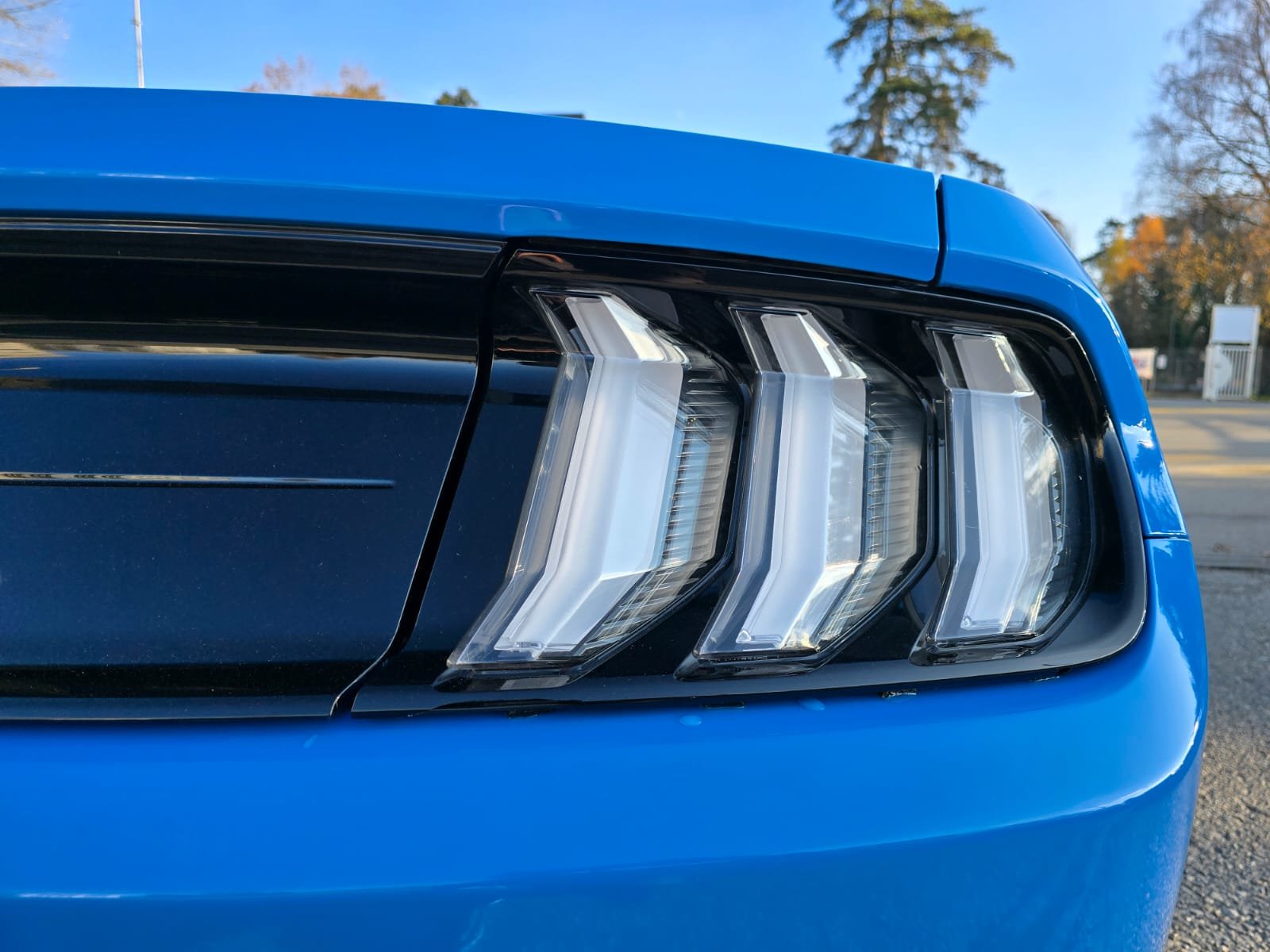 FORD 5.0 V8 GT Special Carbon Edition, Benzina, Occasioni / Usate, Automatico - 7