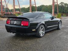 FORD GT 500 SVR Supercharged, Benzina, Occasioni / Usate, Manuale - 5