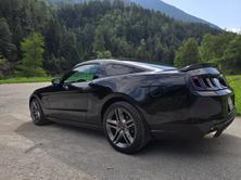 FORD GT 5.0 Track Pack Performance Recaro, Essence, Occasion / Utilisé, Manuelle - 5