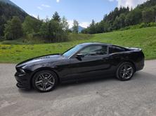 FORD GT 5.0 Track Pack Performance Recaro, Essence, Occasion / Utilisé, Manuelle - 6