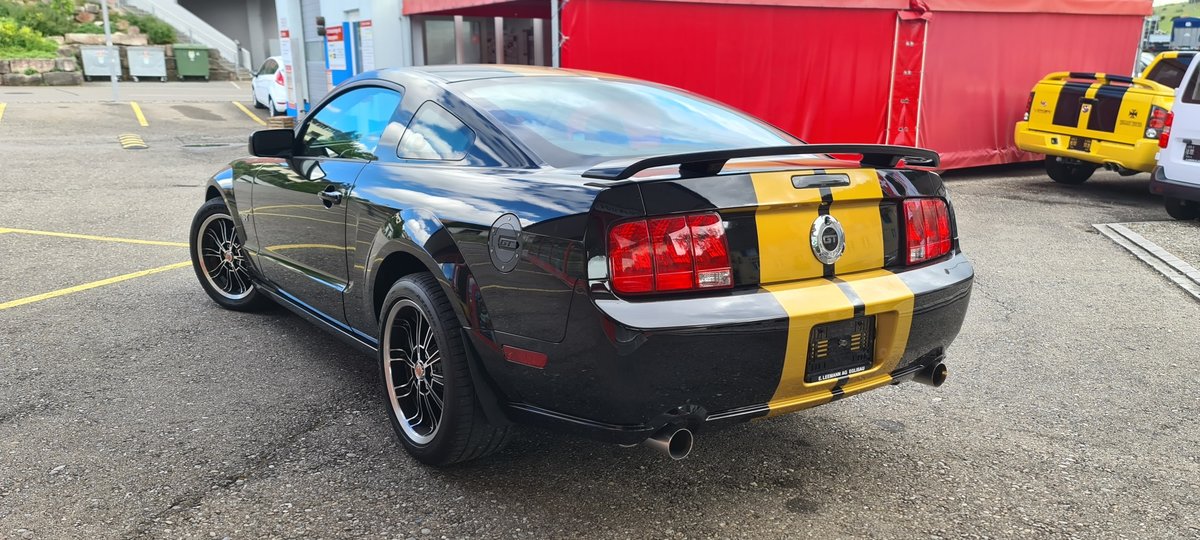 FORD GT seltene Hertz Edition., Benzina, Occasioni / Usate, Manuale - 5