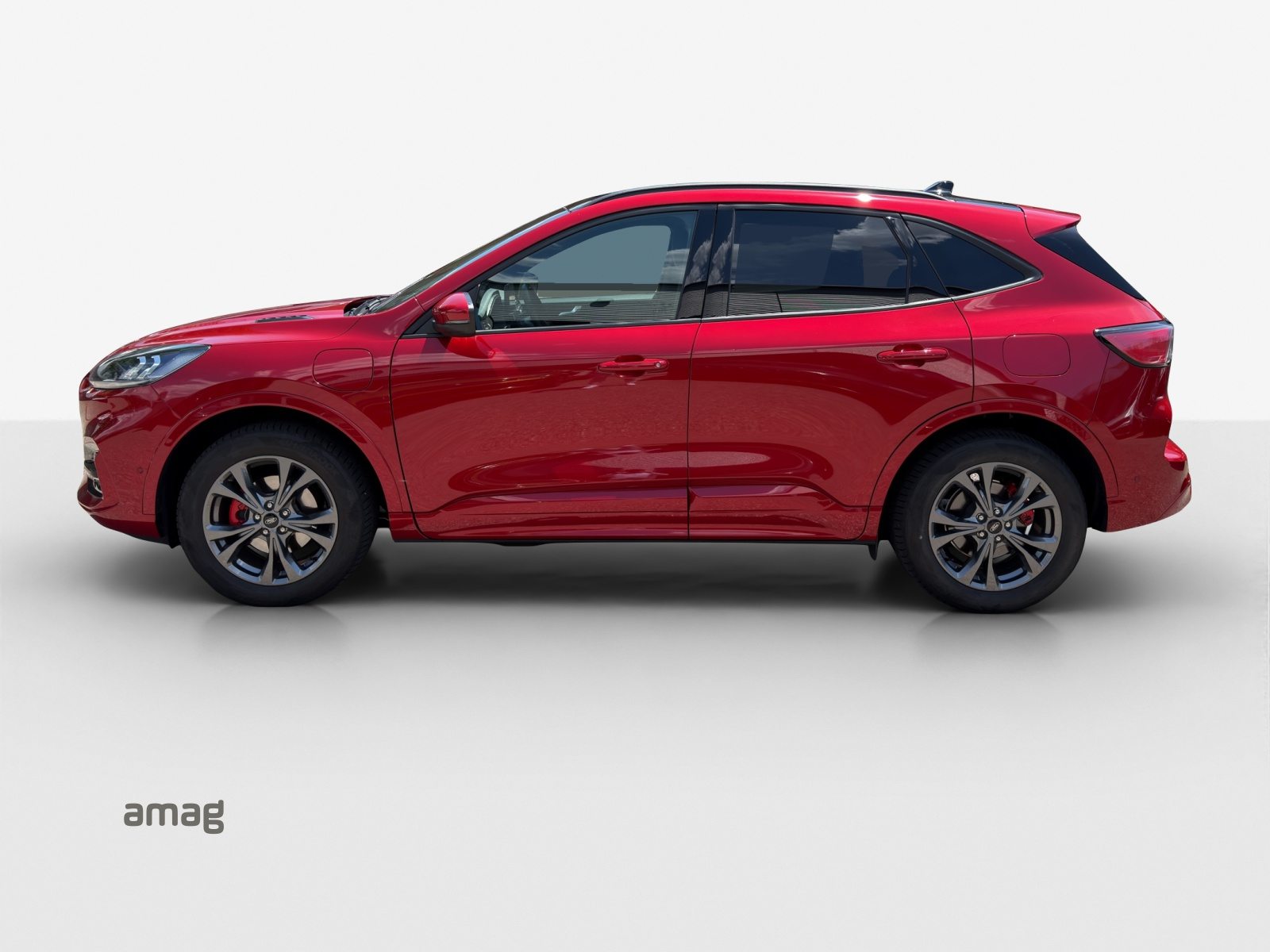 FORD Kuga 2.5 FHEV ST-Line X, Benzina, Occasioni / Usate, Automatico - 2