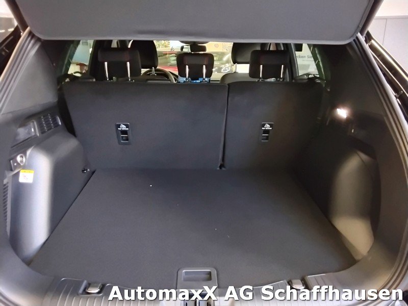 FORD Kuga 2.5 Plug-in Hybrid ST-Line X, Plug-in-Hybrid Benzin/Elektro, Neuwagen, Automatik - 7