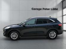 FORD Kuga 2.5 FHEV Titanium X 4WD, Hybride Intégral Essence/Électricité, Voiture nouvelle, Automatique - 4