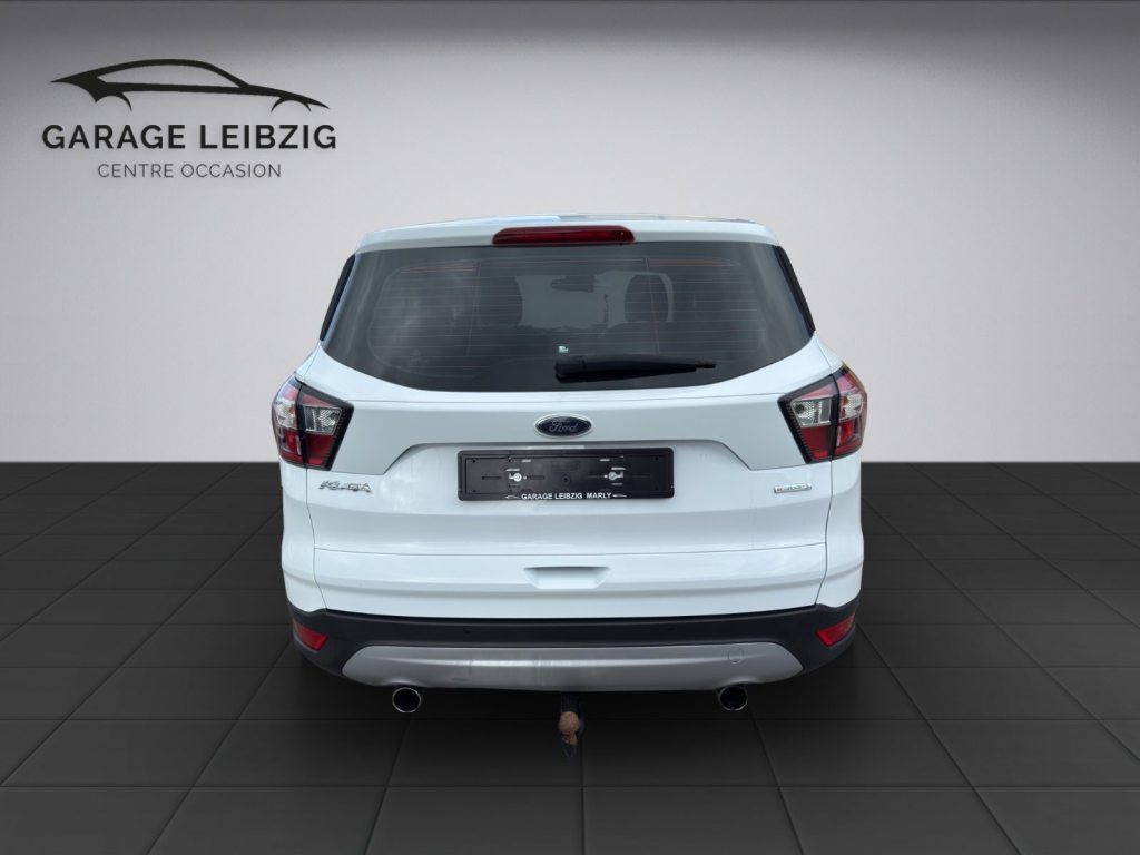 FORD Kuga 1.5 EcoB 182 Titanium, Benzina, Occasioni / Usate, Automatico - 4
