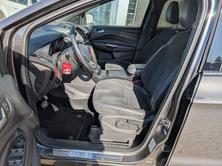 FORD 1.5 EcoB 182 ST-Line, Benzina, Occasioni / Usate, Automatico - 3