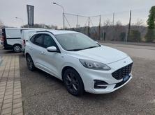 FORD KUGA 2.0 EcoBlue ST-Line 4x4, Diesel, Occasion / Gebraucht, Automatik - 4