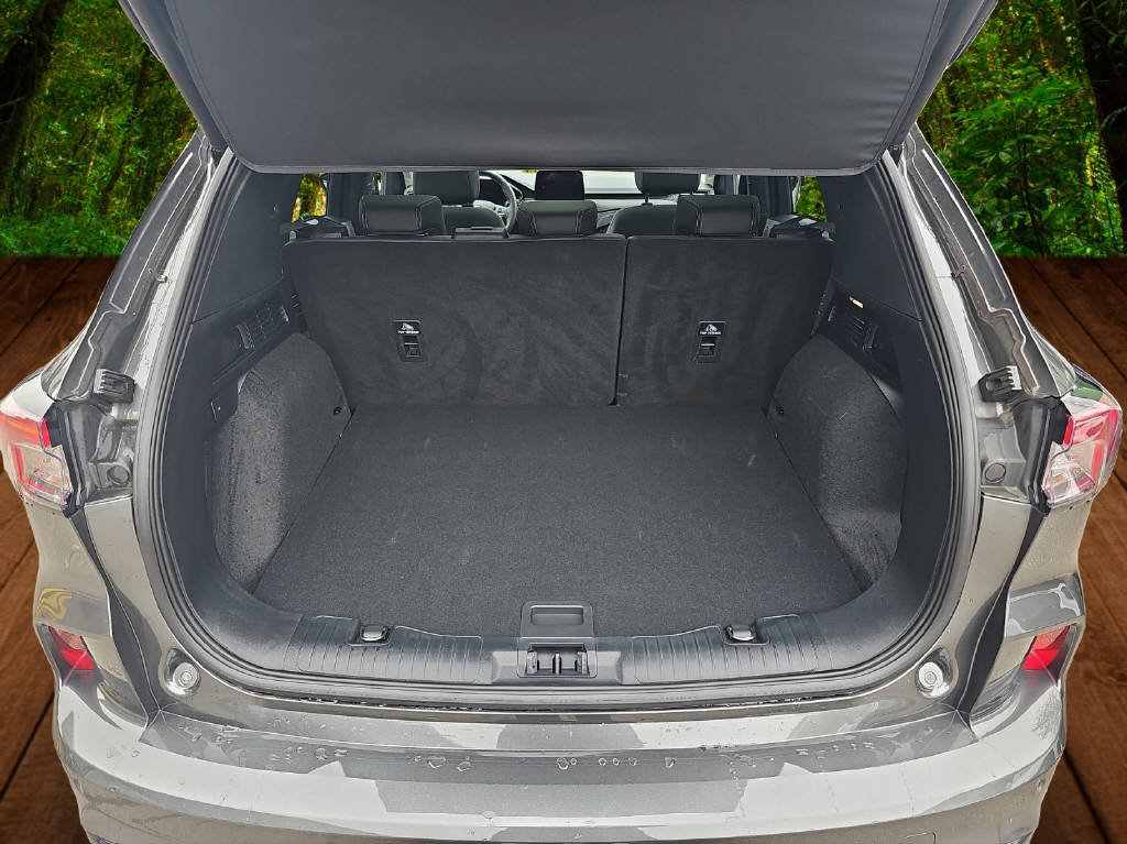 FORD Kuga 2.5 Hybrid Vignale, Hybride Intégral Essence/Électricité, Occasion / Utilisé, Automatique - 5