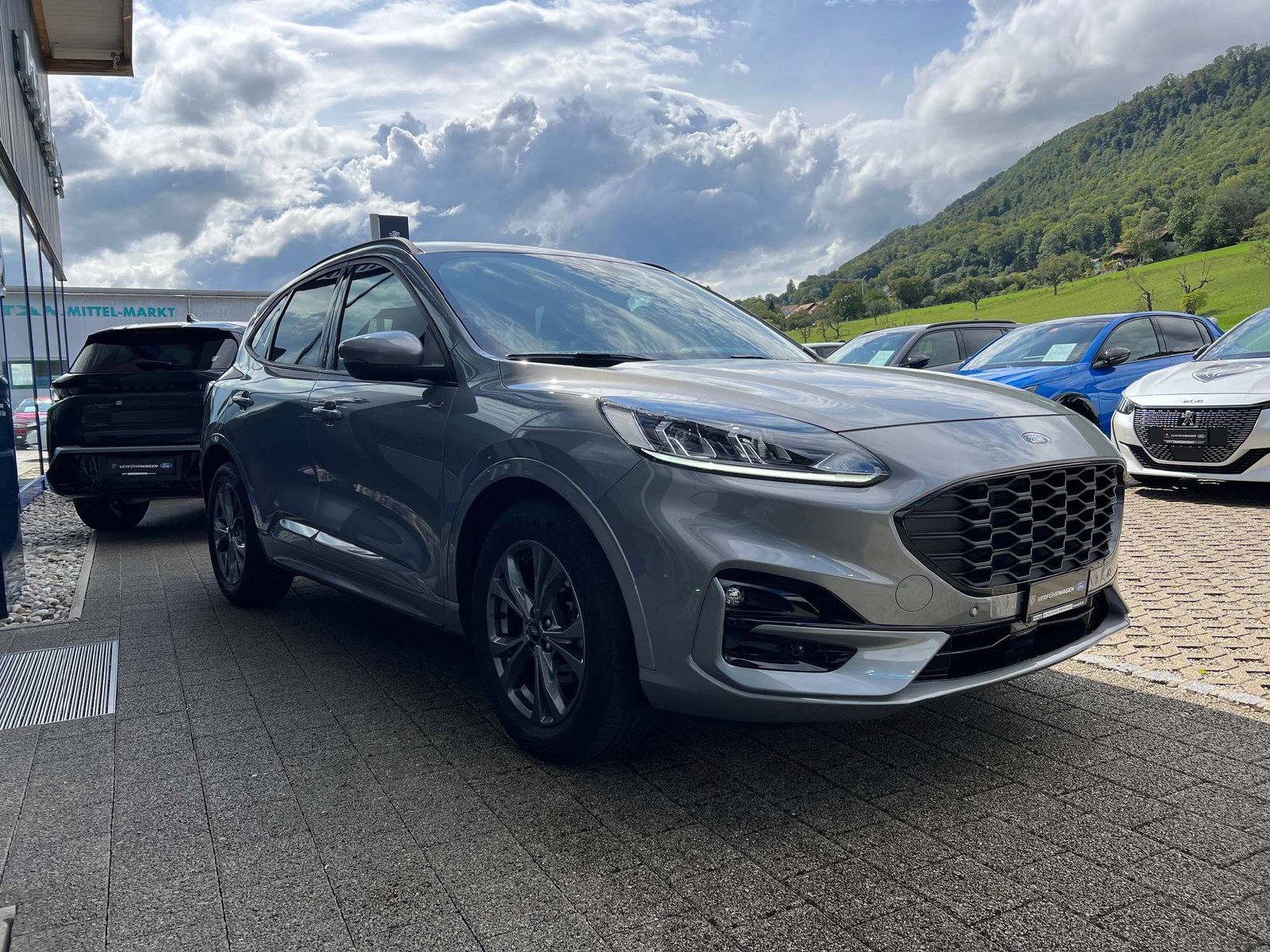FORD Kuga 2.0 EcoBlue ST-Line, Diesel, Occasioni / Usate, Automatico - 3