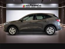 FORD Kuga 2.0 TDCi EcoBlue Cool Connect 4WD, Diesel, Occasion / Gebraucht, Automatik - 2