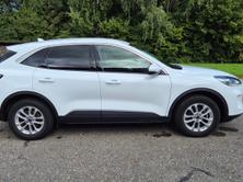 FORD Kuga 2.5 PHEV Titanium 2WD, Plug-in-Hybrid Benzina/Elettrica, Occasioni / Usate, Automatico - 7
