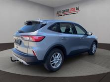 FORD Kuga 2.0 TDCi EcoBlue Cool Connect 4WD, Diesel, Occasion / Gebraucht, Automatik - 6