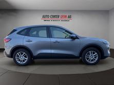 FORD Kuga 2.0 TDCi EcoBlue Cool Connect 4WD, Diesel, Occasion / Gebraucht, Automatik - 7