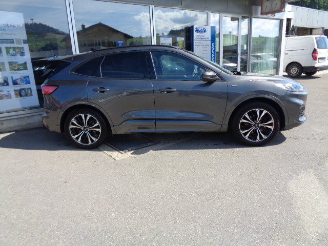 FORD Kuga 2.0 EcoBlue ST-Line X 4x4, Diesel, Occasion / Gebraucht, Automatik - 2