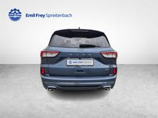 FORD Kuga 2.5 Plug-in Hybrid ST-Line X / ab 3,99% Leasing bei Abs, Plug-in-Hybrid Petrol/Electric, Second hand / Used, Automatic - 5