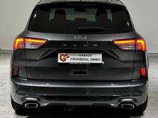 FORD FORD Kuga 2.0 EcoBlue Hybrid ST-Line X 2WD, Hybride Leggero Diesel/Elettrica, Occasioni / Usate, Manuale - 6