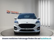 FORD Kuga 2.0 TDCi EcoBlue ST-Line X 4WD, Diesel, Occasion / Gebraucht, Automatik - 2