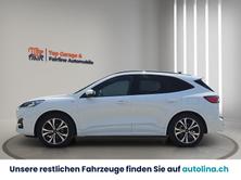 FORD Kuga 2.0 TDCi EcoBlue ST-Line X 4WD, Diesel, Occasion / Gebraucht, Automatik - 4