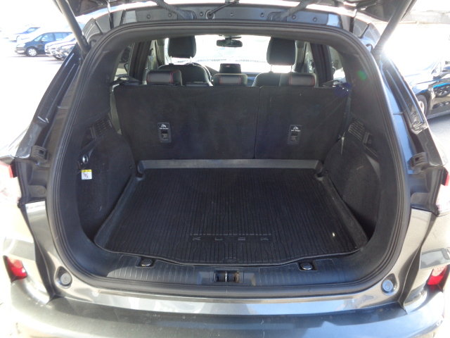 FORD Kuga 2.0 EcoBlue ST-Line X 4x4, Diesel, Occasioni / Usate, Automatico - 7