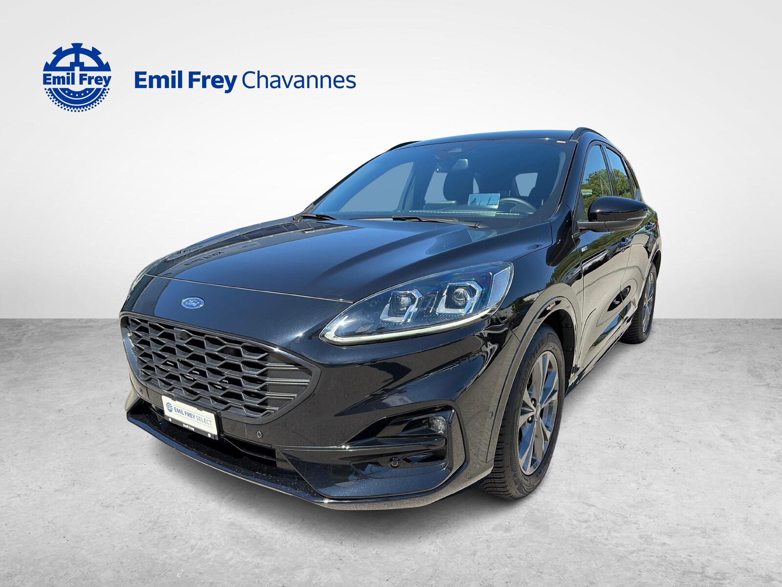FORD Kuga 2.0 EcoBlue ST-Line, Diesel, Occasioni / Usate, Automatico - 2