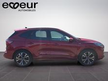 FORD Kuga 2.0 EcoBlue ST-Line X 4x4, Diesel, Occasion / Gebraucht, Automatik - 7