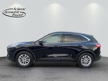 FORD Kuga 2.0 EcoBlue Hybrid Titanium, Mild-Hybrid Diesel/Elektro, Occasion / Gebraucht, Handschaltung - 2