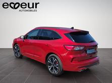 FORD Kuga 2.0 EcoBlue ST-Line X 4x4, Diesel, Occasion / Gebraucht, Automatik - 4